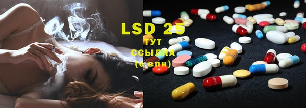 бошки Лабытнанги