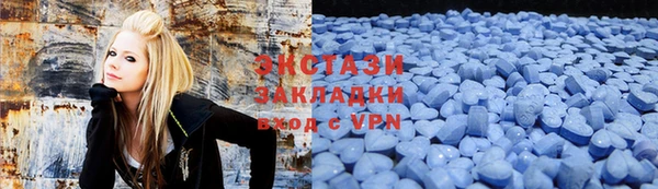 шишки Тында