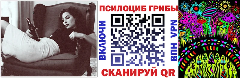 где купить наркотик  Дно  blacksprut как зайти  Галлюциногенные грибы Psilocybe 